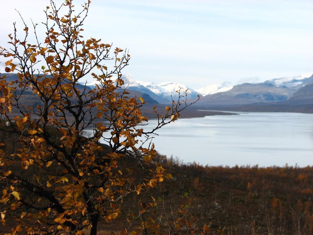 Galdotieva-Seo Villa Leppäjärvi Kültér fotó